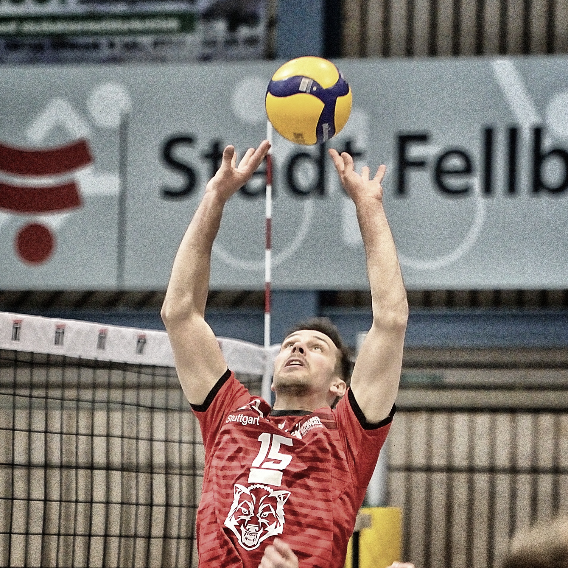 volleyball